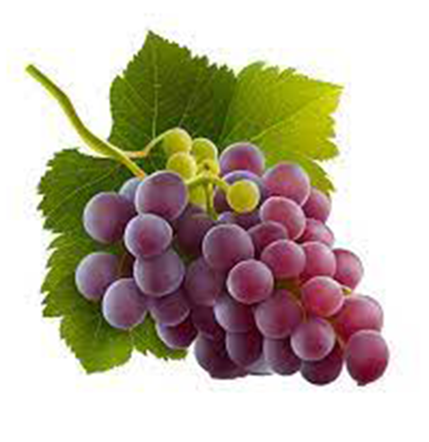 Grapes