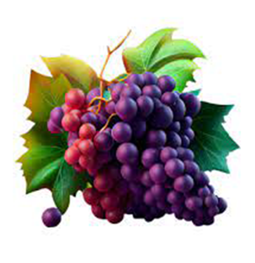 Grapes