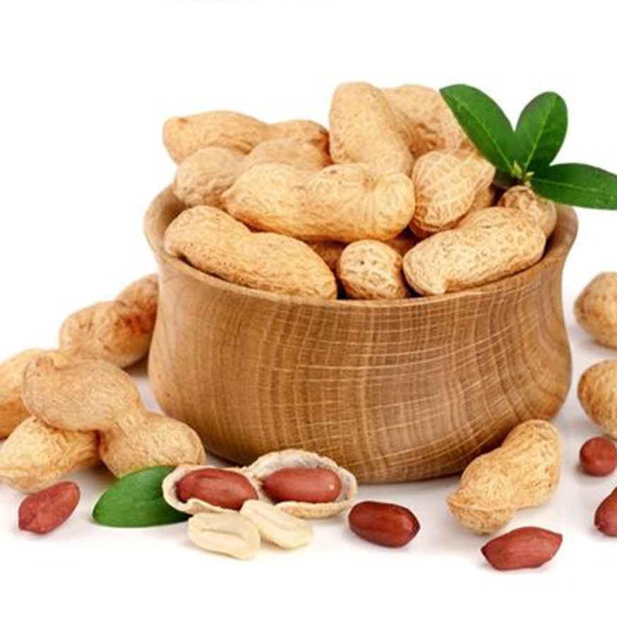 Groundnut