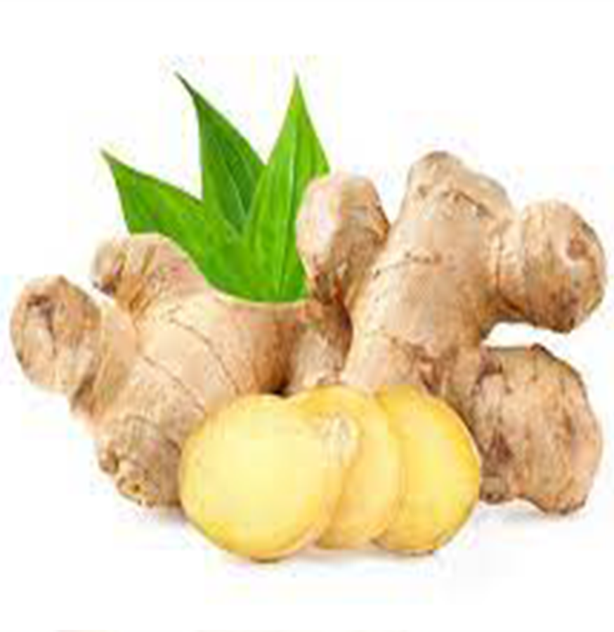 Ginger