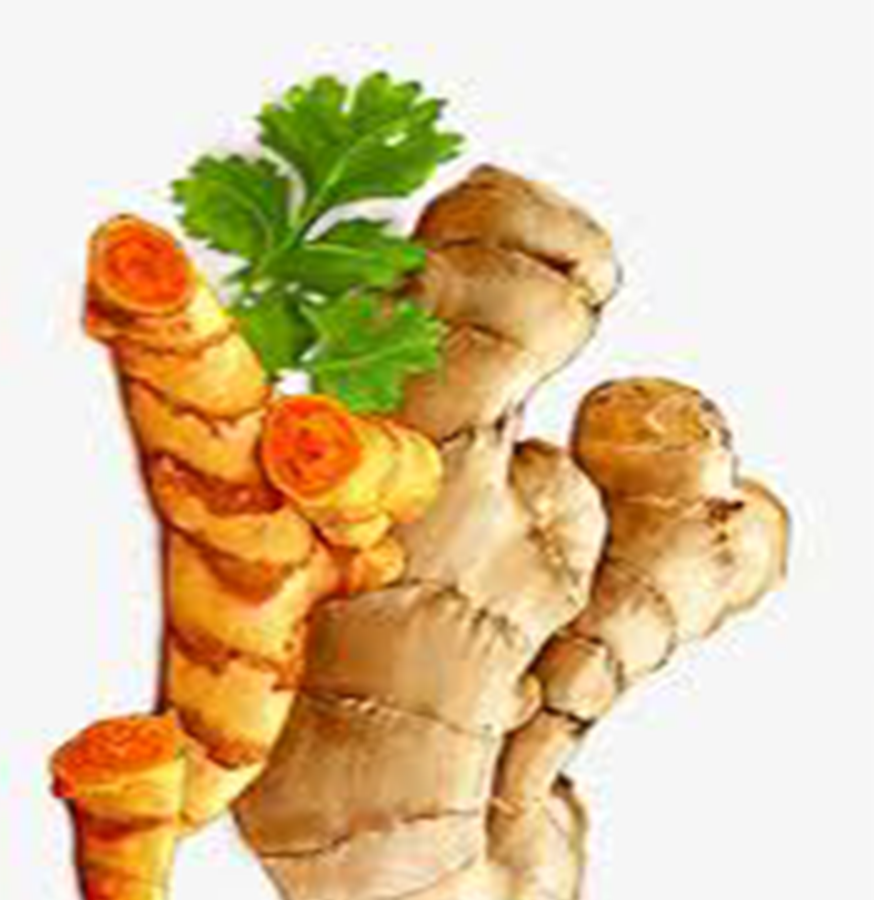 Ginger