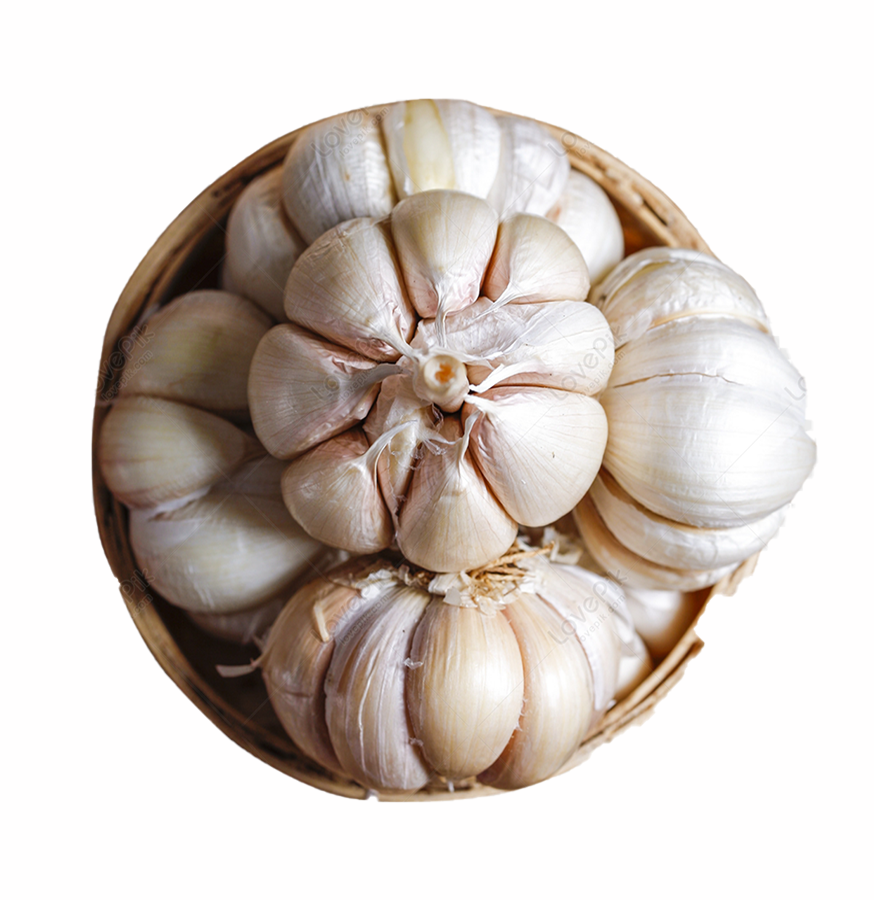 Garlic